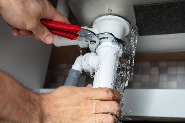 Best Water damage restoration near me  in South Chicago Heights, IL