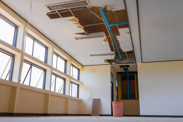 Best Flood restoration services  in South Chicago Heights, IL