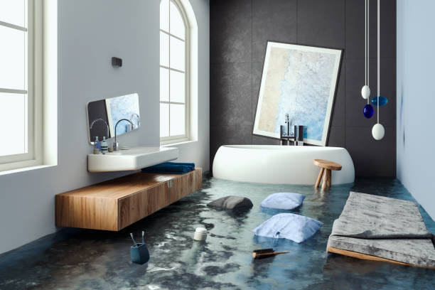 Best Water damage restoration experts  in South Chicago Heights, IL