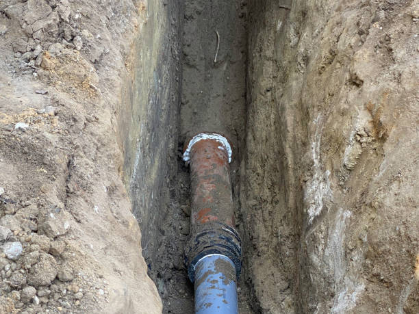 Best Professional water damage repair  in South Chicago Heights, IL