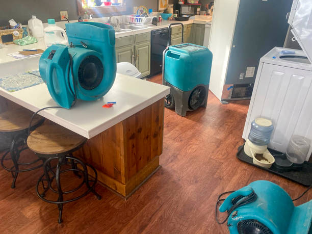 Best Water damage contractors near me  in South Chicago Heights, IL