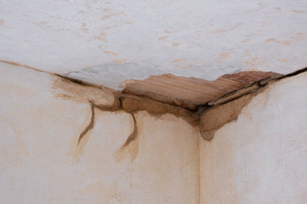 Best Basement water damage restoration  in South Chicago Heights, IL