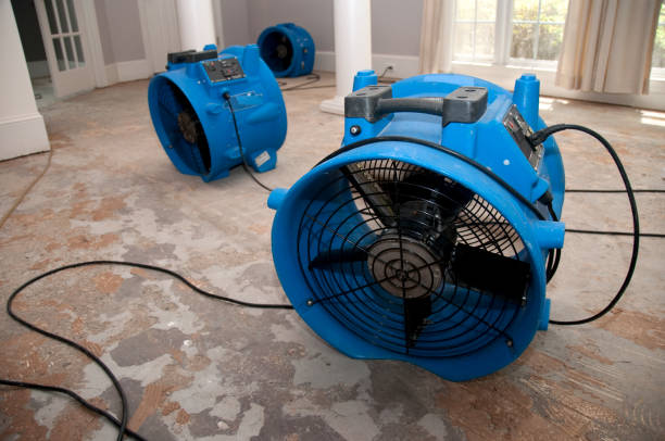 Best 24/7 water damage repair  in South Chicago Heights, IL