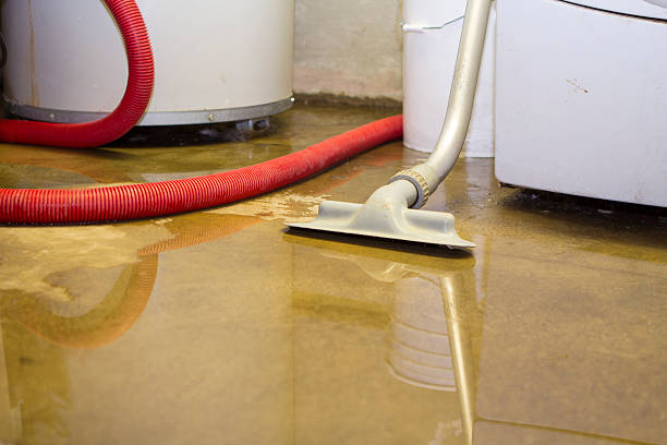 Best Emergency water extraction  in South Chicago Heights, IL