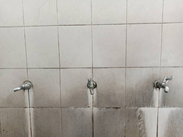 Best Flood restoration services  in South Chicago Heights, IL