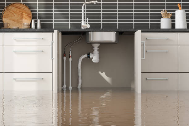 Best Commercial water damage restoration  in South Chicago Heights, IL