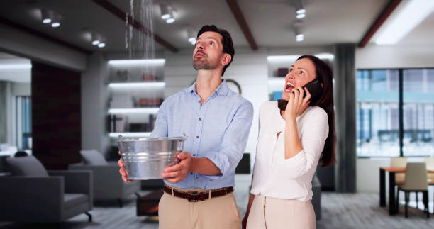 Best 24-hour water damage restoration  in South Chicago Heights, IL